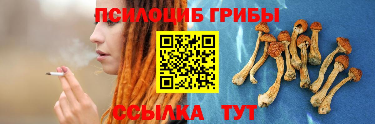 как найти закладки  Галлюциногенные грибы прущие грибы  Вход с VPN  Воронеж 