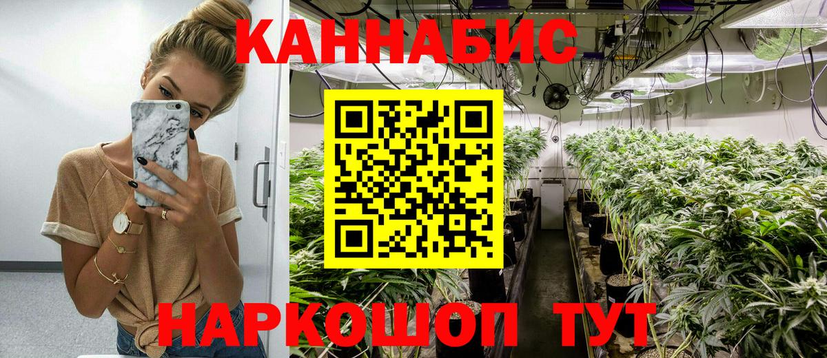 Канабис ГИДРОПОН Воронеж
